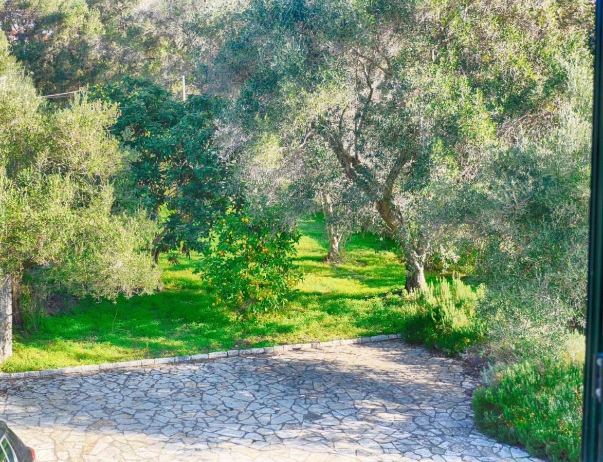 Villa Afionas - 3 Minutes From The Beach With Heated Eco-Pool And Sunset View Extérieur photo